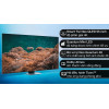 Smart Tivi Neo QLED Samsung AI 4K 55 inch QA55QN85B 